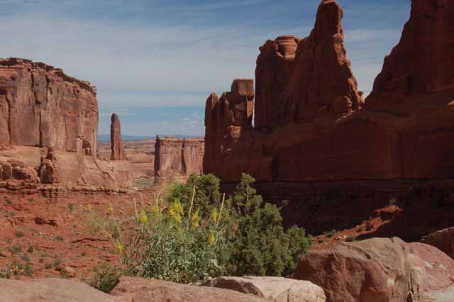 Park Avenue Trail